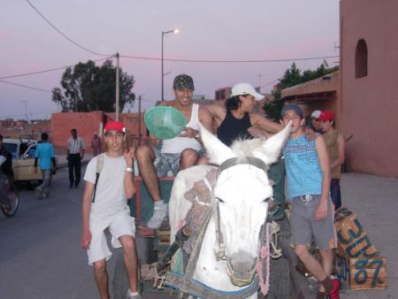 les fou